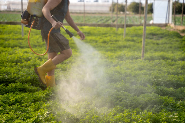 Best Pest Control Treatment  in Algona, IA